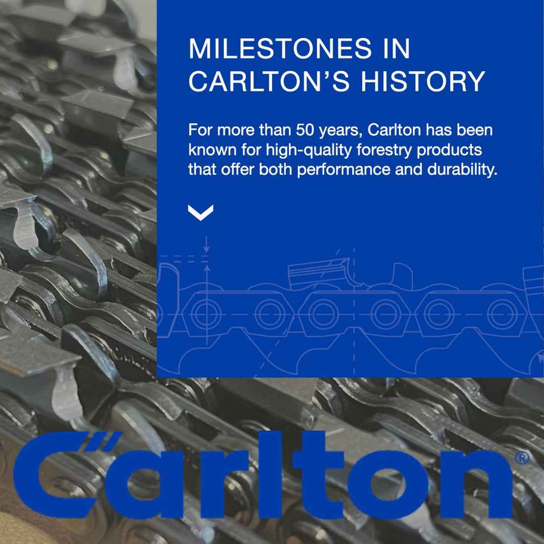 Carlton Saw Chain